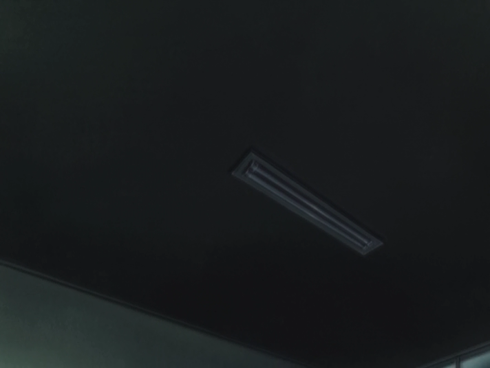 Shitsurakuen (Animex)